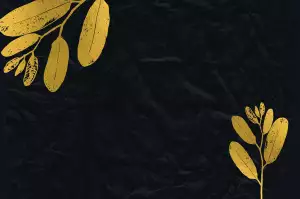 Campbell Funeral Home Trenton Nj